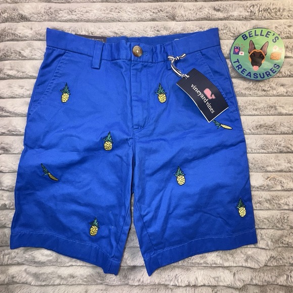Vineyard Vines‎ Shorts Boys M 10 Breaker Whale Pineapple Blue Adjustable Waist - Picture 1 of 8